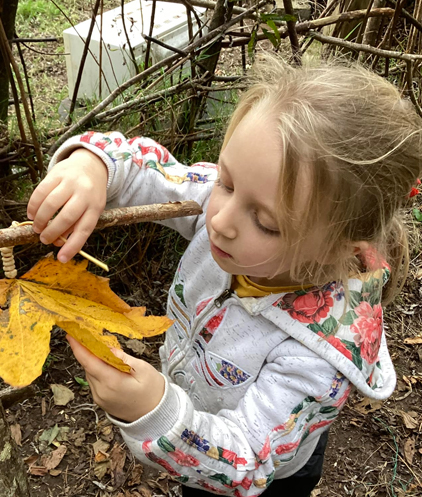 Beyond the Classroom